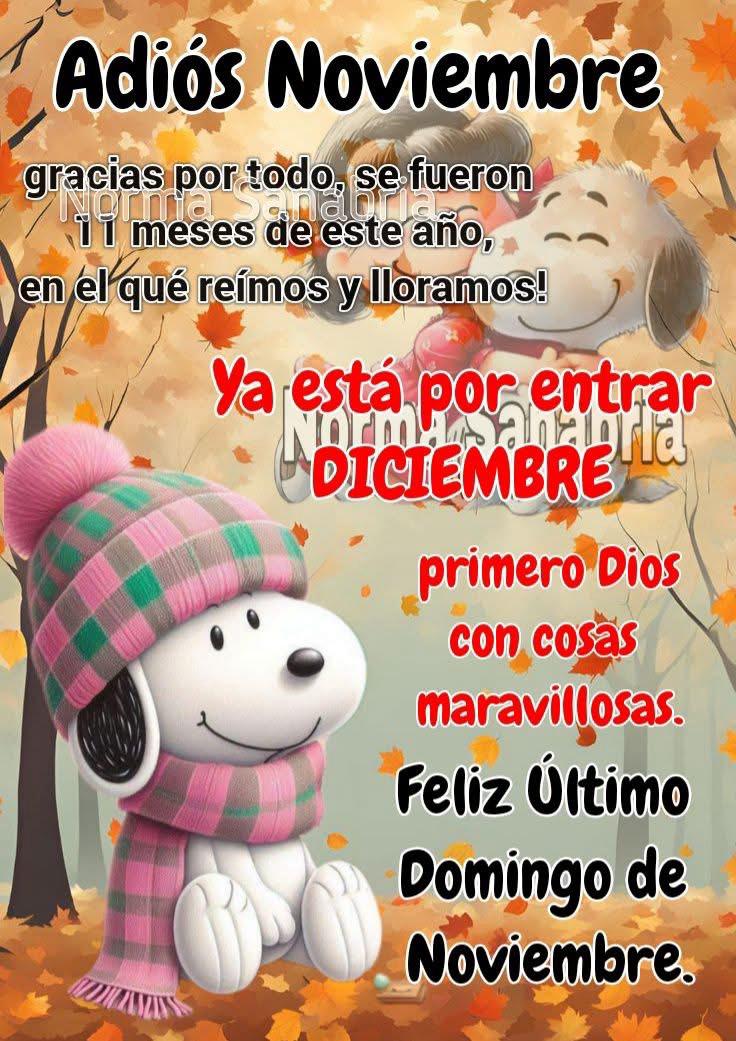arturosalazari's tweet image. Adiós #Noviembre... 👋🏻🧔🏻‍♂️...
#Gracias, gracias por todo...
#FelizTarde #DulceNoche ...
#BuenasNochesATodos ...
🧔🏻‍♂️🙌🏻💙🙏🏻🌐🕊 ...