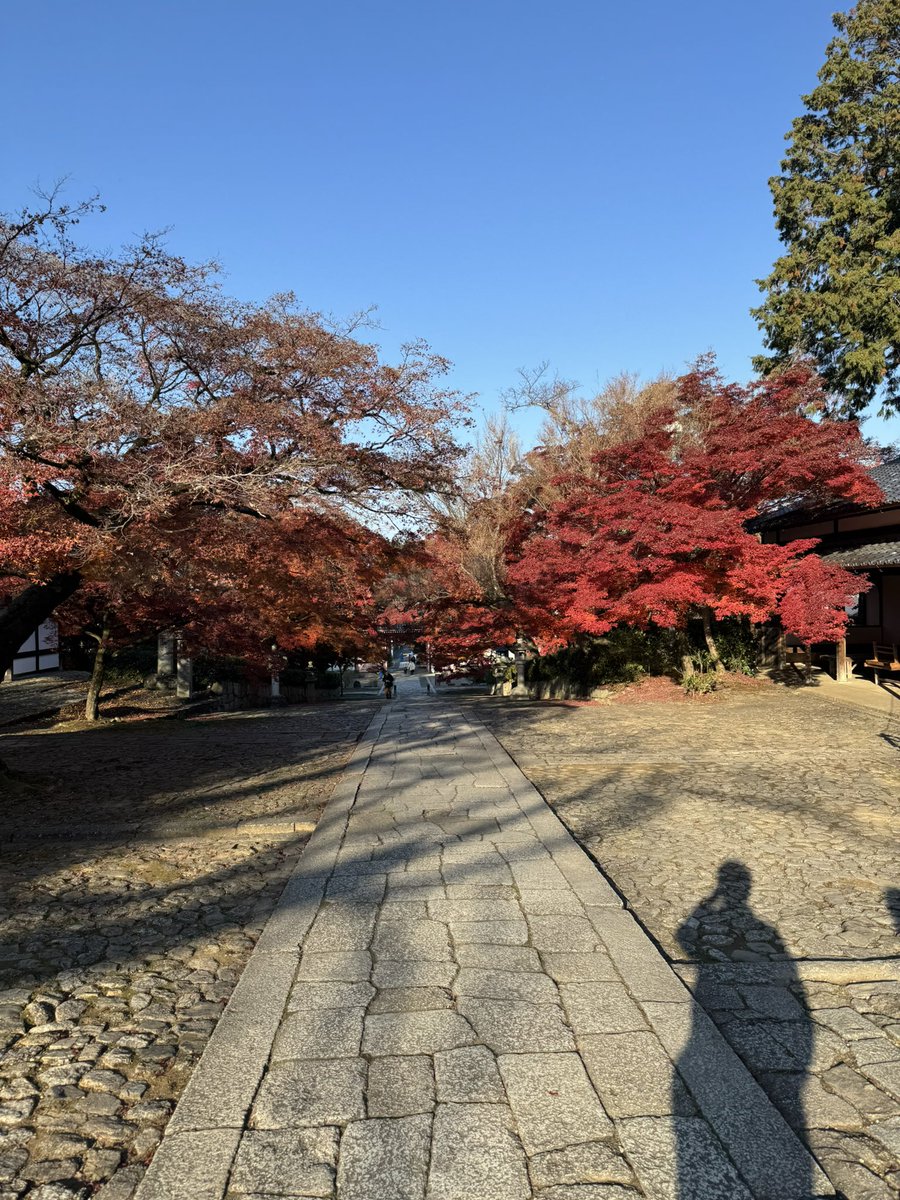 いもすけ (@imosuke24) / Posts / X