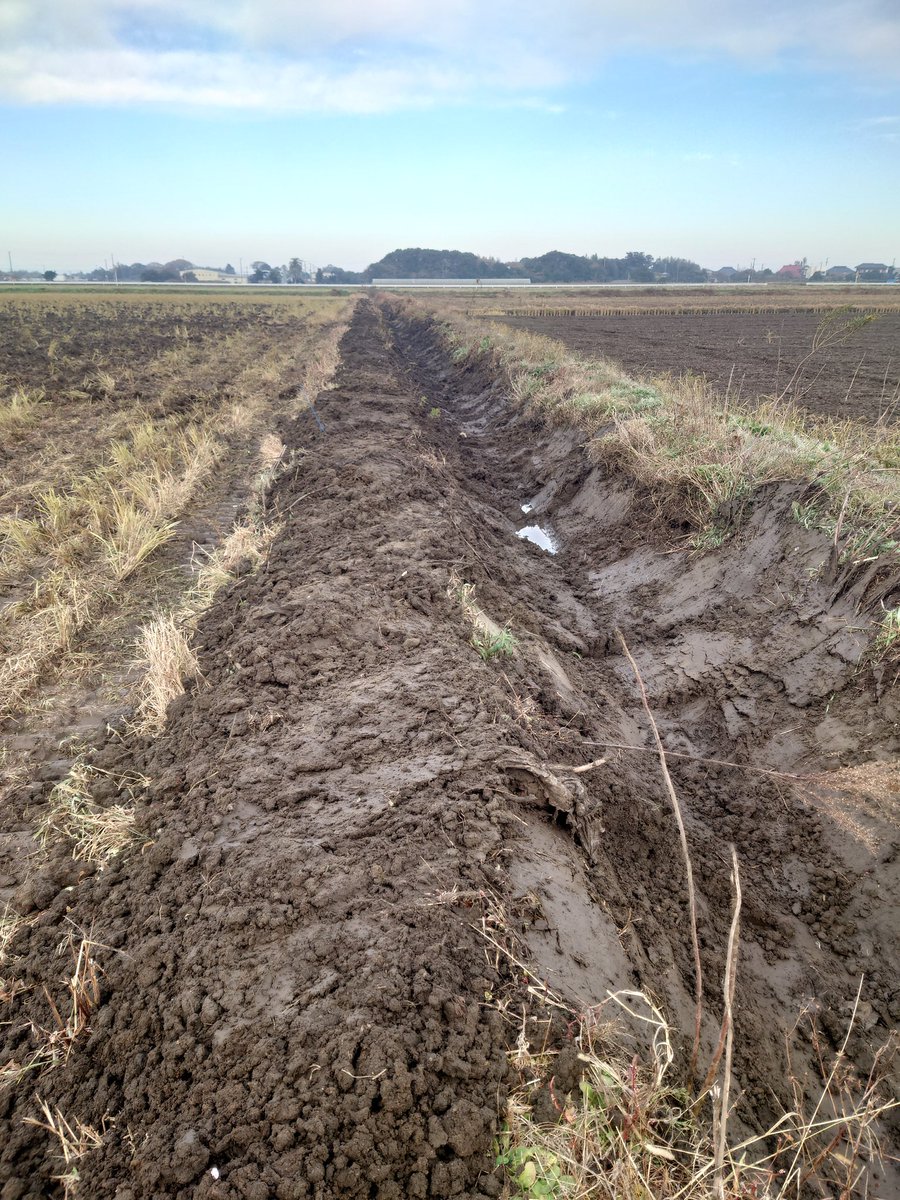 ジャンボタニシくん大尉 (@shinblock_) / Posts / X