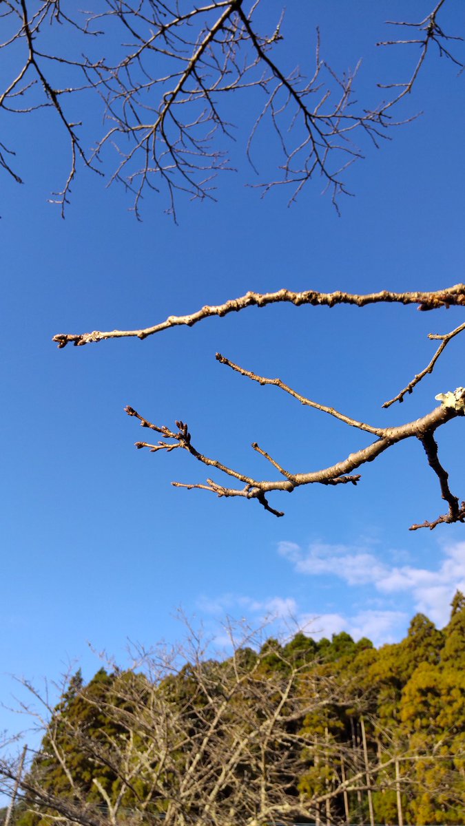 おはようございます。