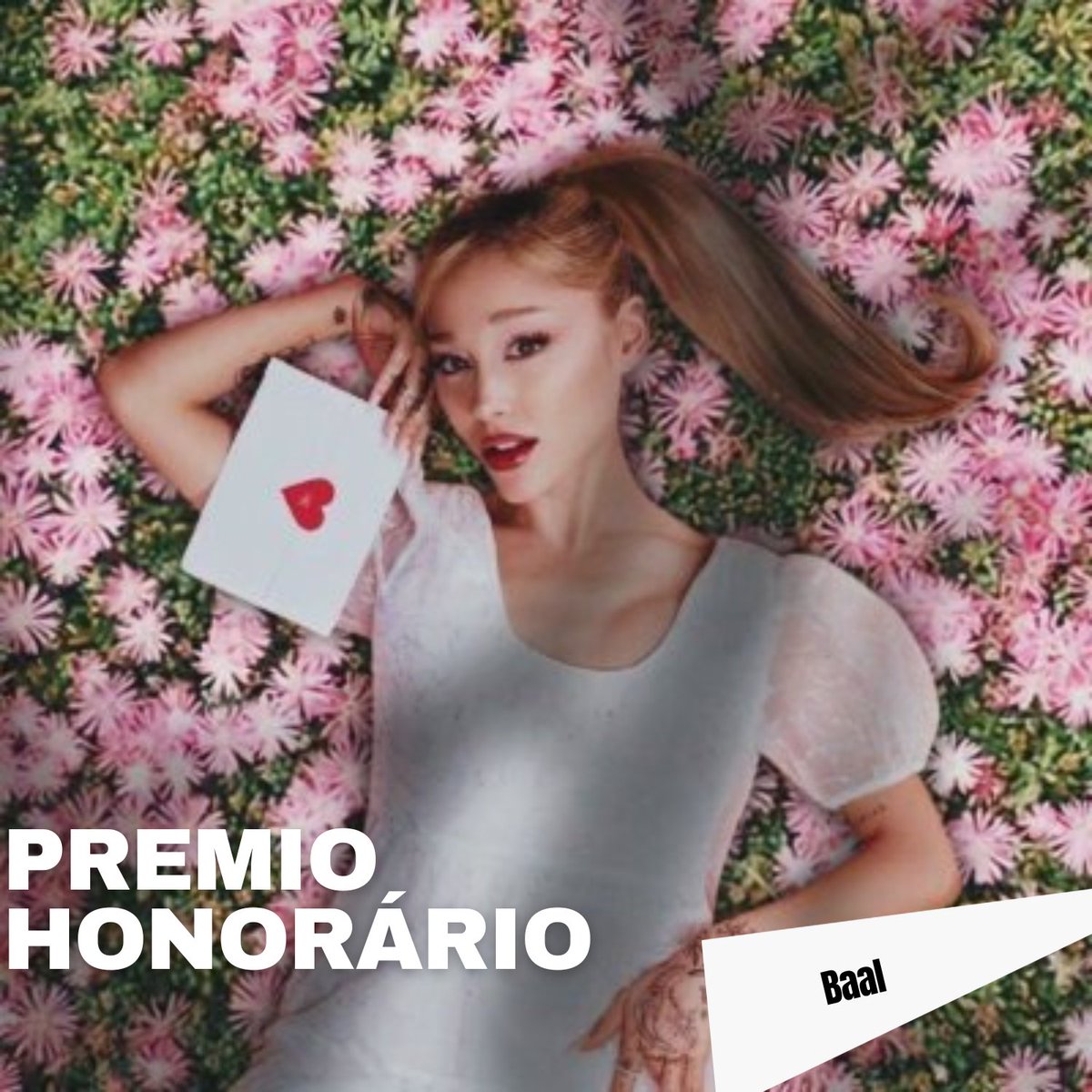 ARDYS - THE TROPHY ACADEMY tweet media