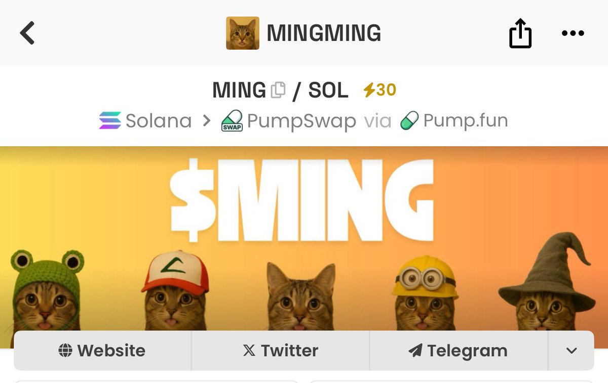 MingMing_sol tweet media