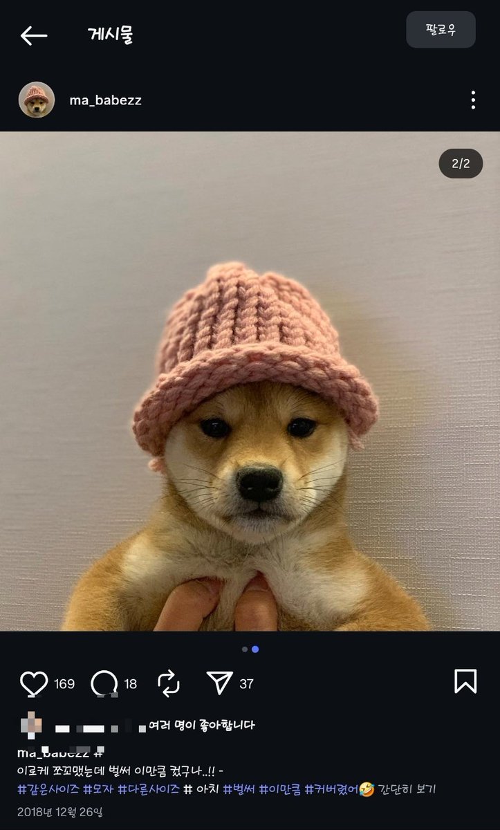 Lovely Guy tweet media