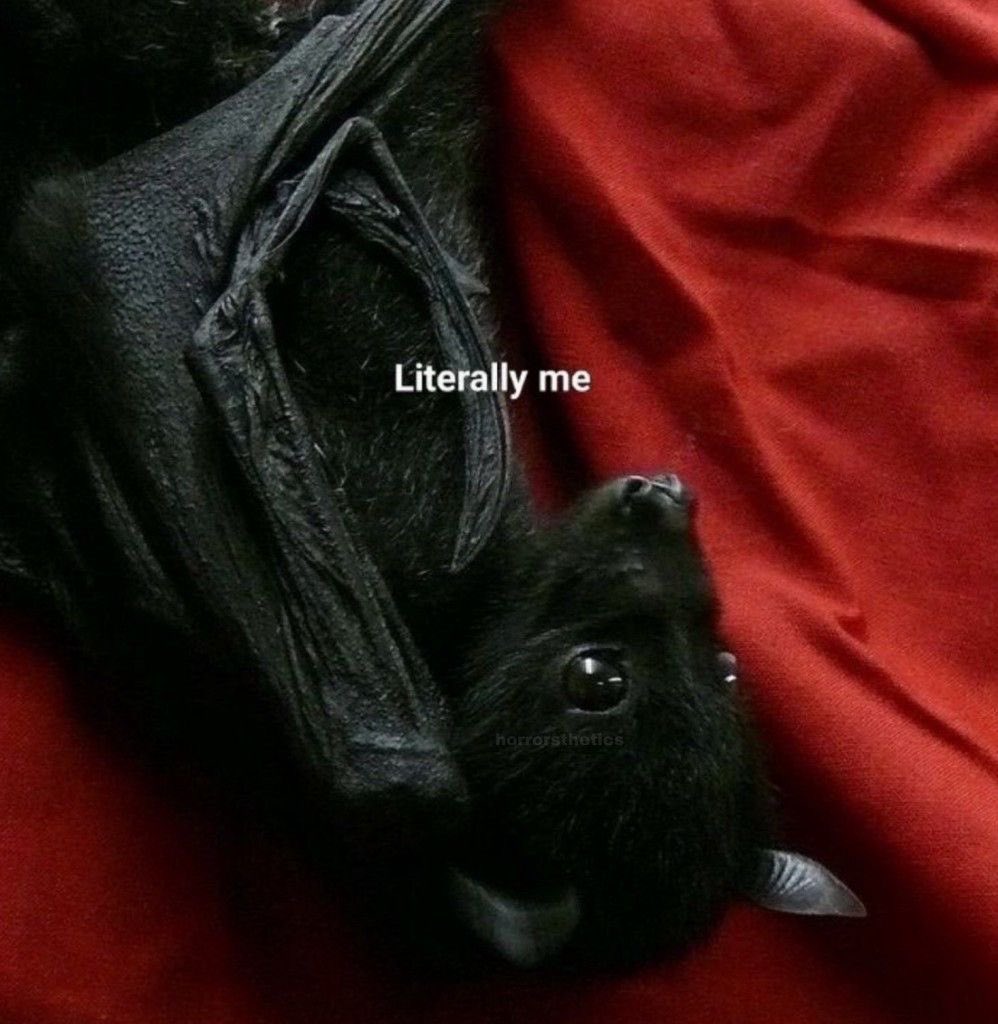 spookyxxboobs's tweet photo. just hanging out https://t.co/ghx2yUjmVL