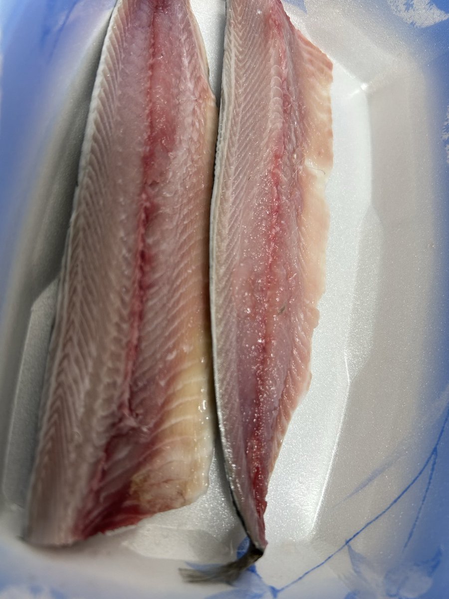 魚虎 うおとら (@uotora2024) / Posts / X