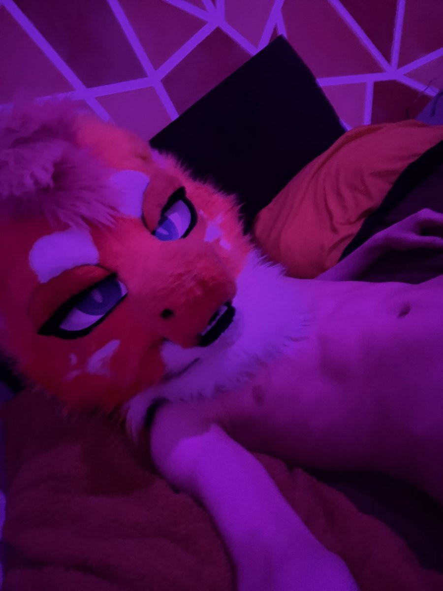 SparkL 🔞 🔜 CFZ tweet media