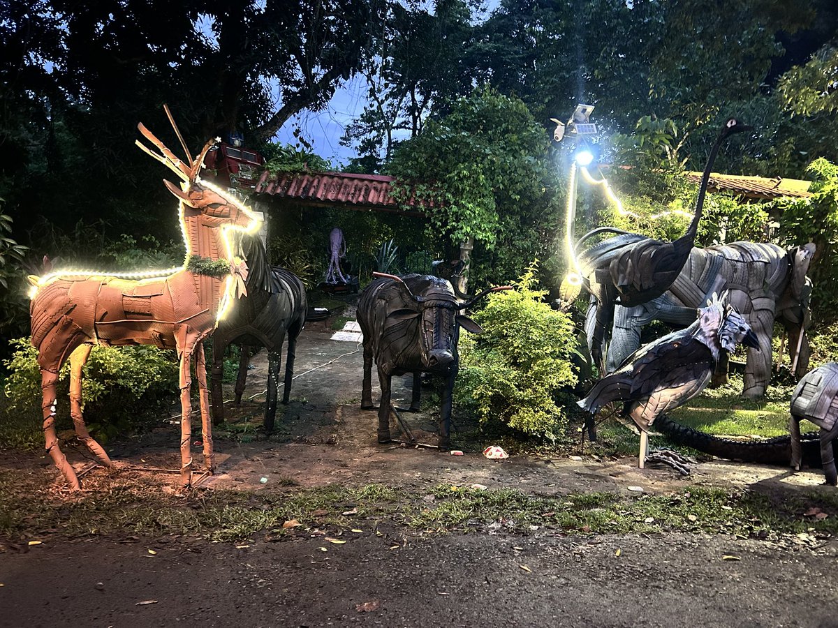 Hice este reno de llantas recicladas es una decoración navideña bastante económica y llamativa pero ningún municipio quiere apoyar o apoyará esta idea por qué les e dicho y propuesto y mi idea me cierran las puertas siempre