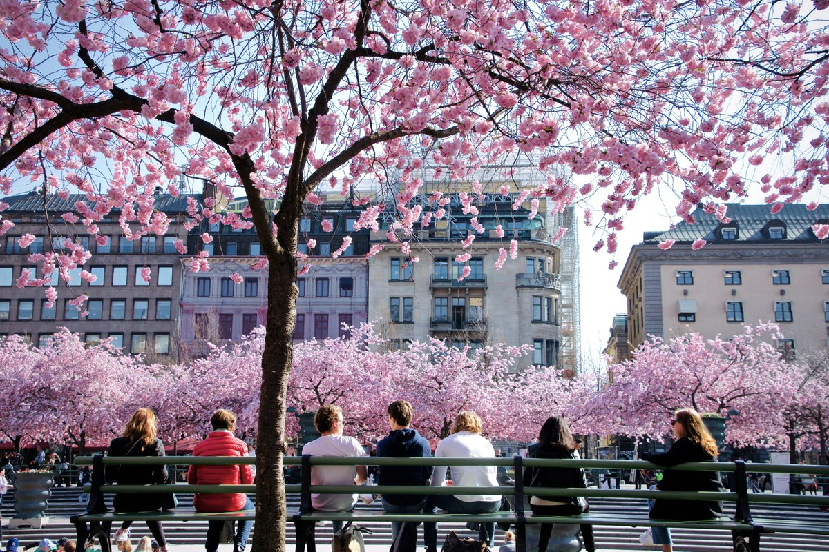 UpVPNapp's tweet photo. Location of the day: Stockholm, Sweden!
https://t.co/0VTQgBZzi3 https://t.co/hvY9RdXL9a