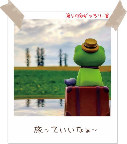 かえるのピクルス/pickles the frog (@picklesthefrog6) / Posts / X