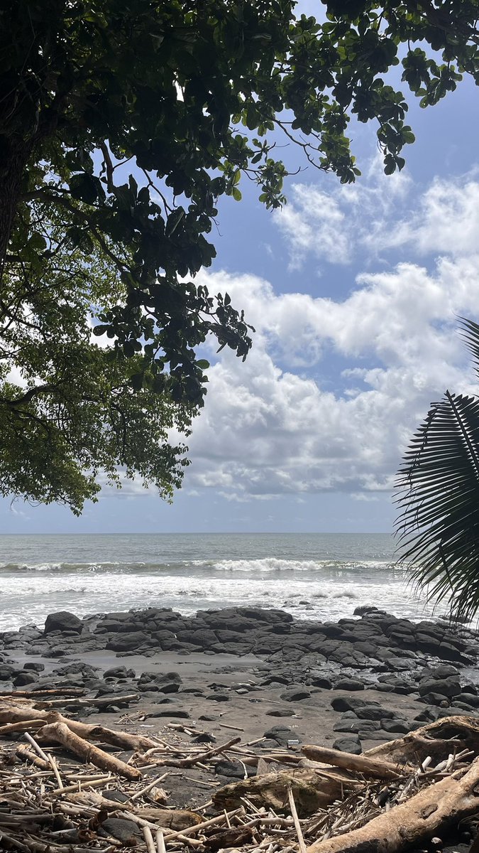 noytext's tweet image. Bali days