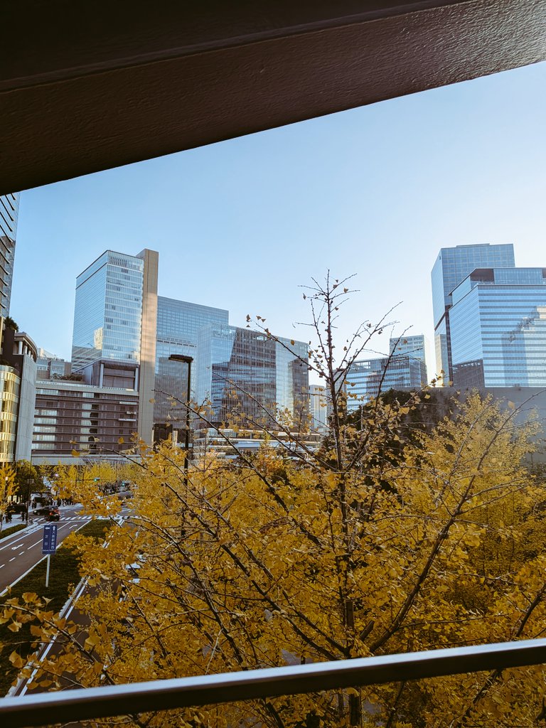 yasudaadisuke8's tweet photo. 日曜日のグランフロント大阪。
冬の訪れを感じられない黄色さ。 https://t.co/omiQ7YFwzQ