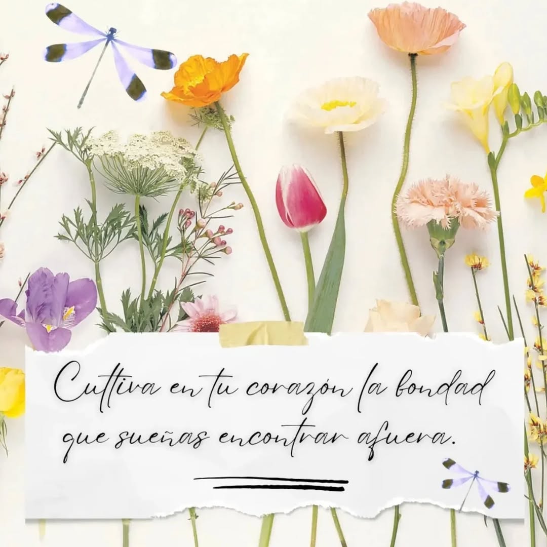 Guadalupe tweet media