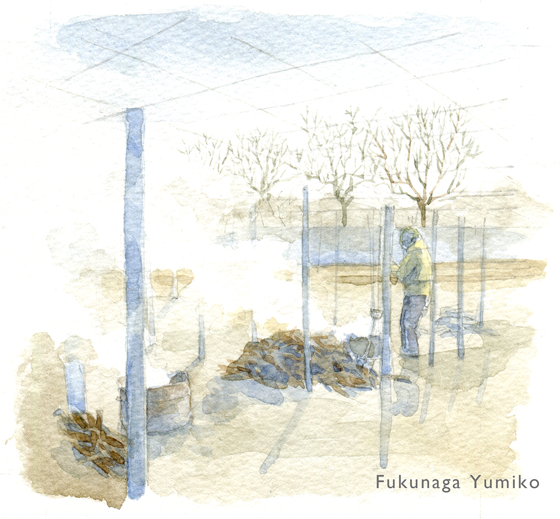 青楓美術館エントランスでの小展示が終了しました。
お越しくださった皆様、口コミでご紹介くださった皆様、ありがとうございました！

青楓美術館の皆様、笛吹市の担当者様、大変お世話になりました。

（展示作品）
ぶどう剪定枝の焚き火
今の山梨での風景
牧丘の巨峰畑でお手伝い。