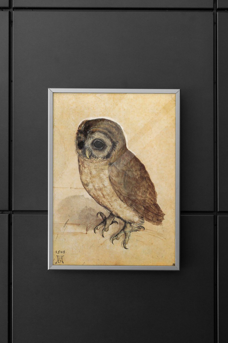 Albrecht Durer, The Little Owl, 1506
Love this artwork? Make it yours. Shop the print now.
etsy.com/listing/139557…