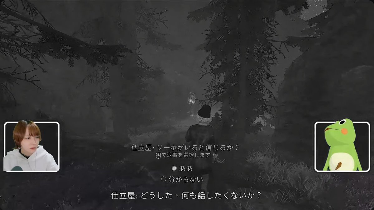 ハヤニー🐸色々公式プロゲーム実況者✨VIVEアンバサダーとかTGS&Bitsummit公式配信とか tweet media