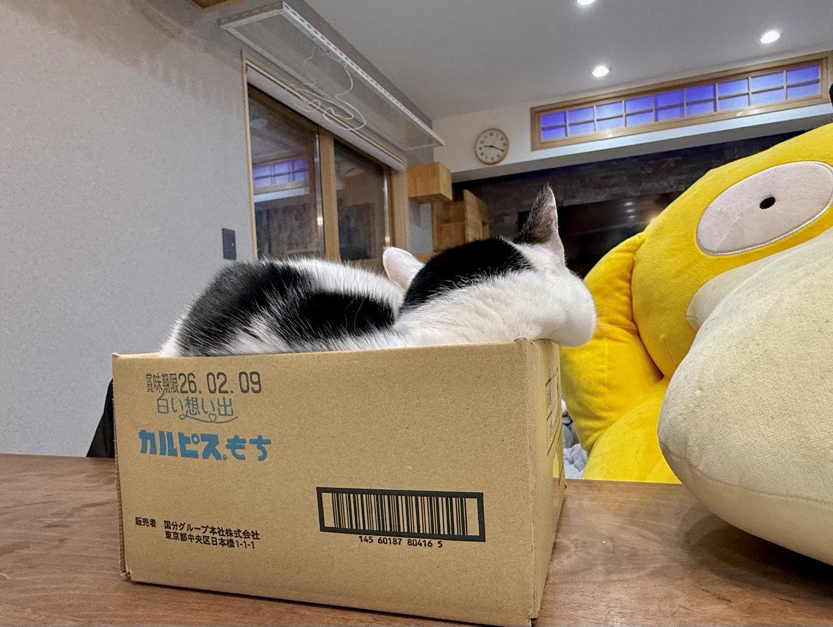 こぼれ落ちそうな、もちもちほっぺ。