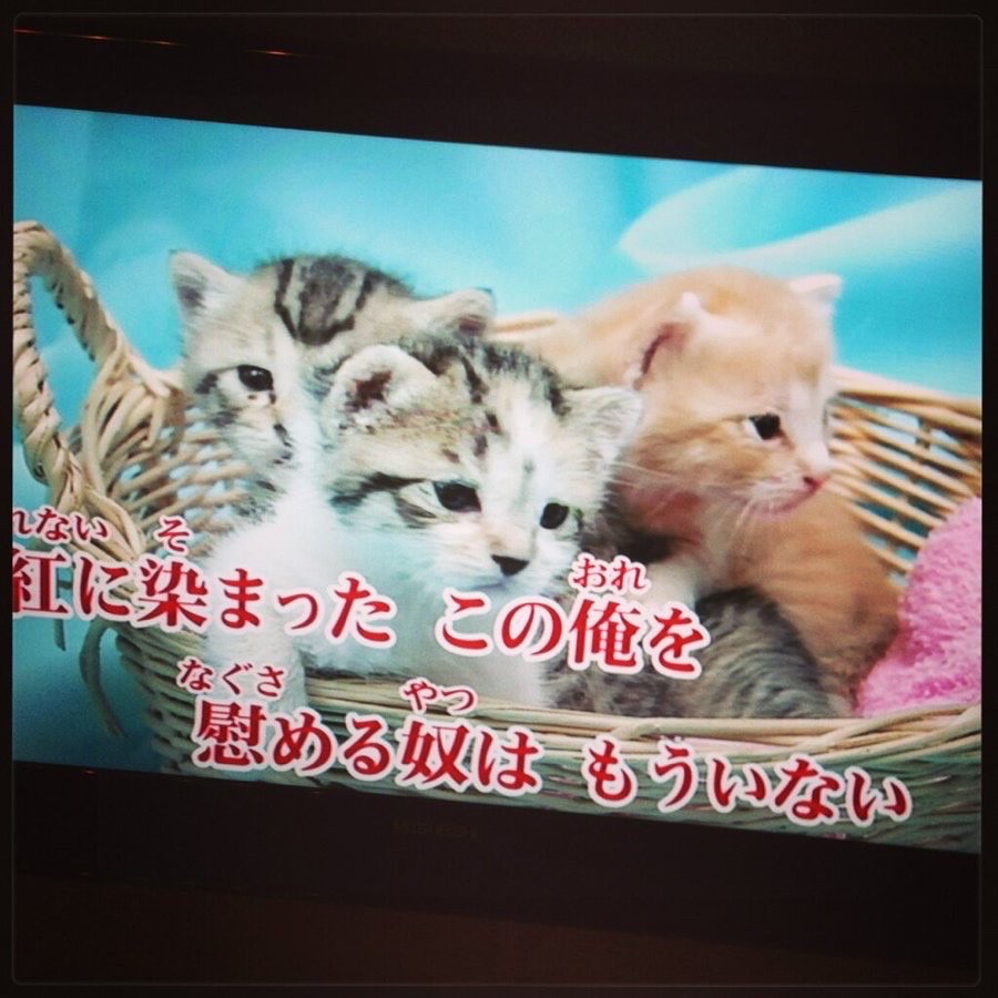 まだ面白い (@madaomoshiroi) on Twitter photo 