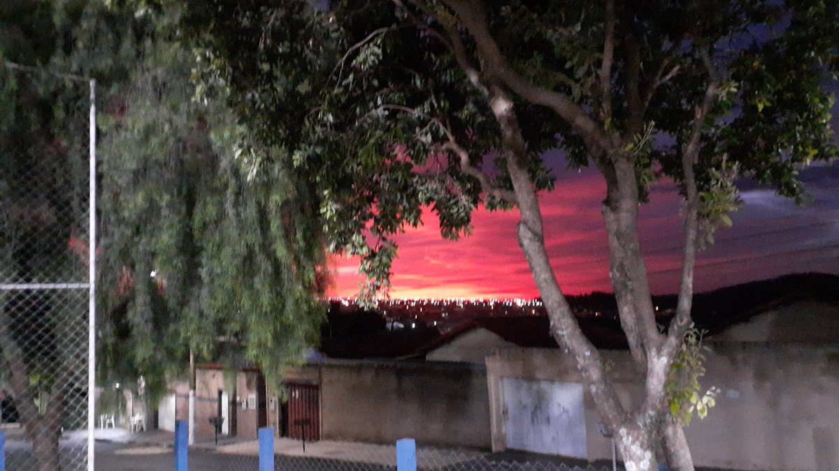 fernanda tweet media