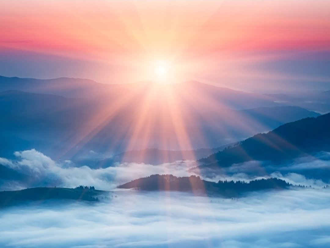 ⚔️ Morning Prayer for Strength ✨

Heavenly Father,

As I rise into this new day, strengthen my hands, steady my heart, and sharpen my focus. Fill me with courage to face every challenge and wisdom to walk in Your will. Let Your Spirit empower every step I take, and let Your joy