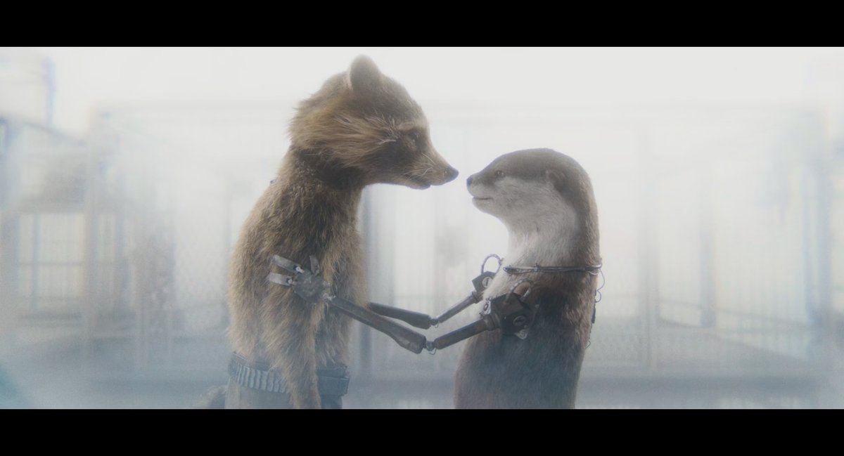 Irateguardian's tweet image. 