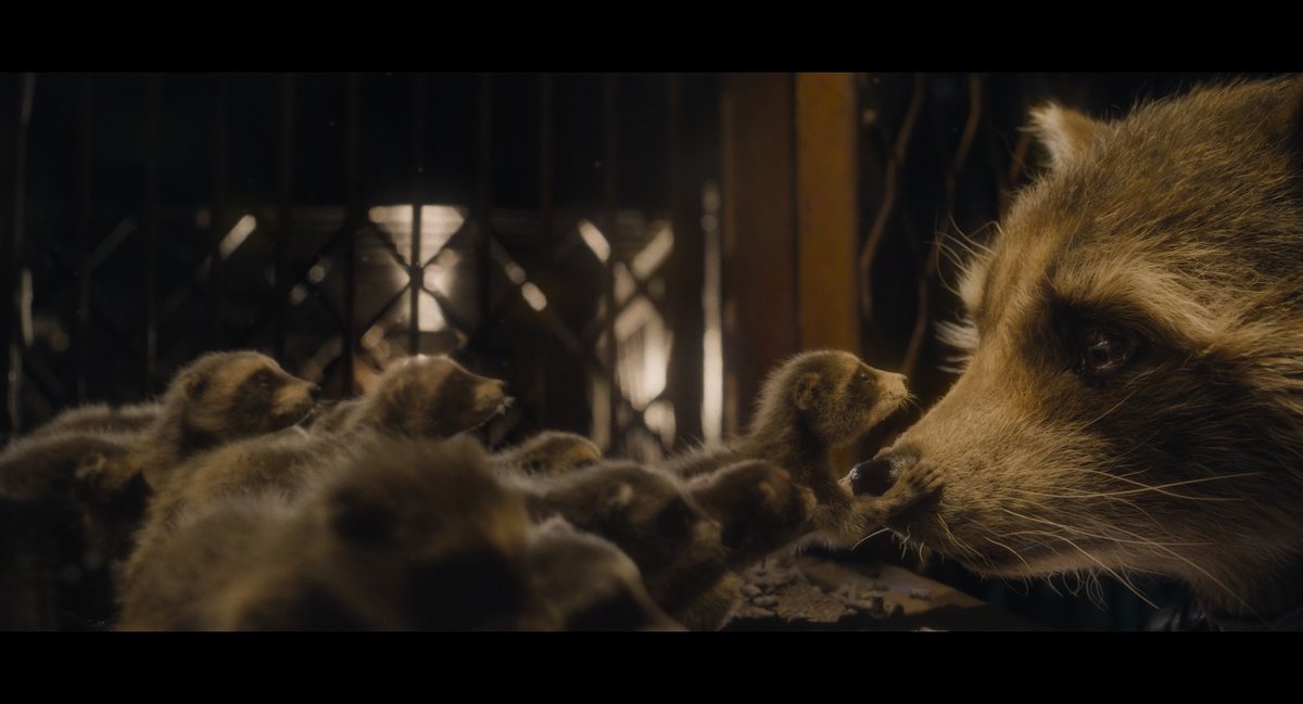 Irateguardian's tweet image. 