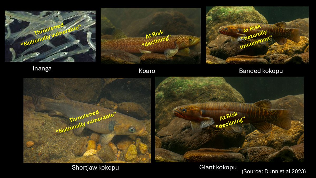 Jon S. Harding tweet media