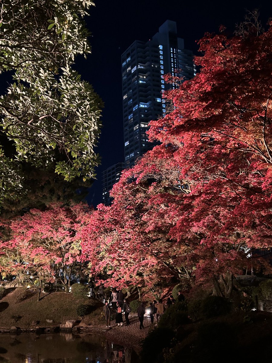 はなはな (@ELLE10GA31) / Posts / X