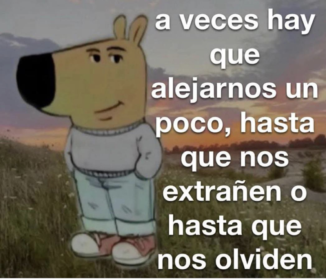 El Guarromántico tweet media