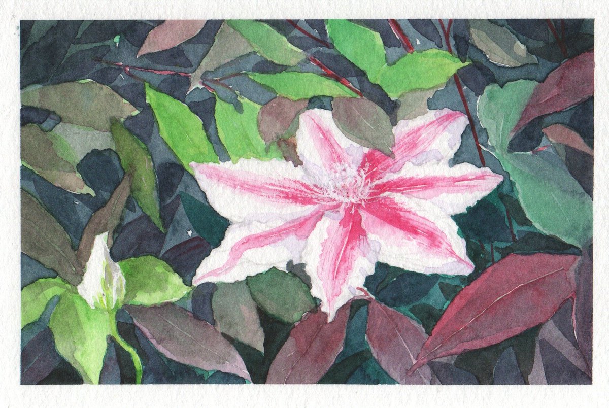 旧作再掲 まっち水彩のみでスケッチしたもの。お花を描くときは高確率