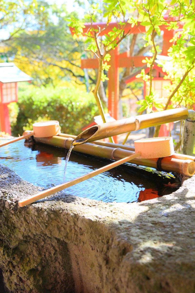 おはSynQ ✨
今日の福岡市は曇り☁️

12月がスタートしましたが、最高気温は19°になるみたいです😳

写真は昨日の宮地嶽神社⛩️
紅葉がとっても綺麗でした✨

12月もよろしくお願いいたします！
#企業公式が朝の挨拶を言い合う 
#企業公式が毎朝地元の天気を言い合う 
#クアンド