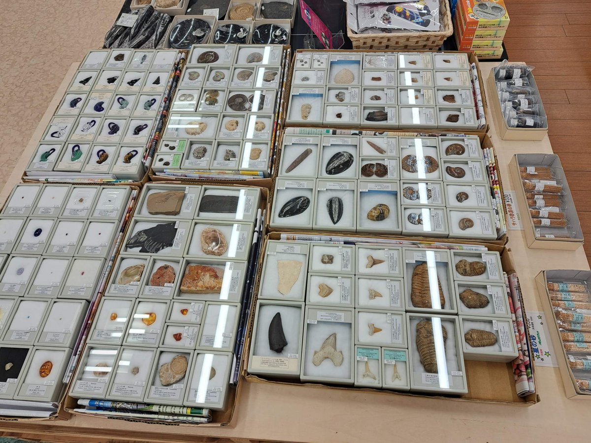 パワーストーン約5kまとめ売り 📢POP-UP情報🎉/ 化石や天然石をお買い得価格で期間限定販売中！ POP