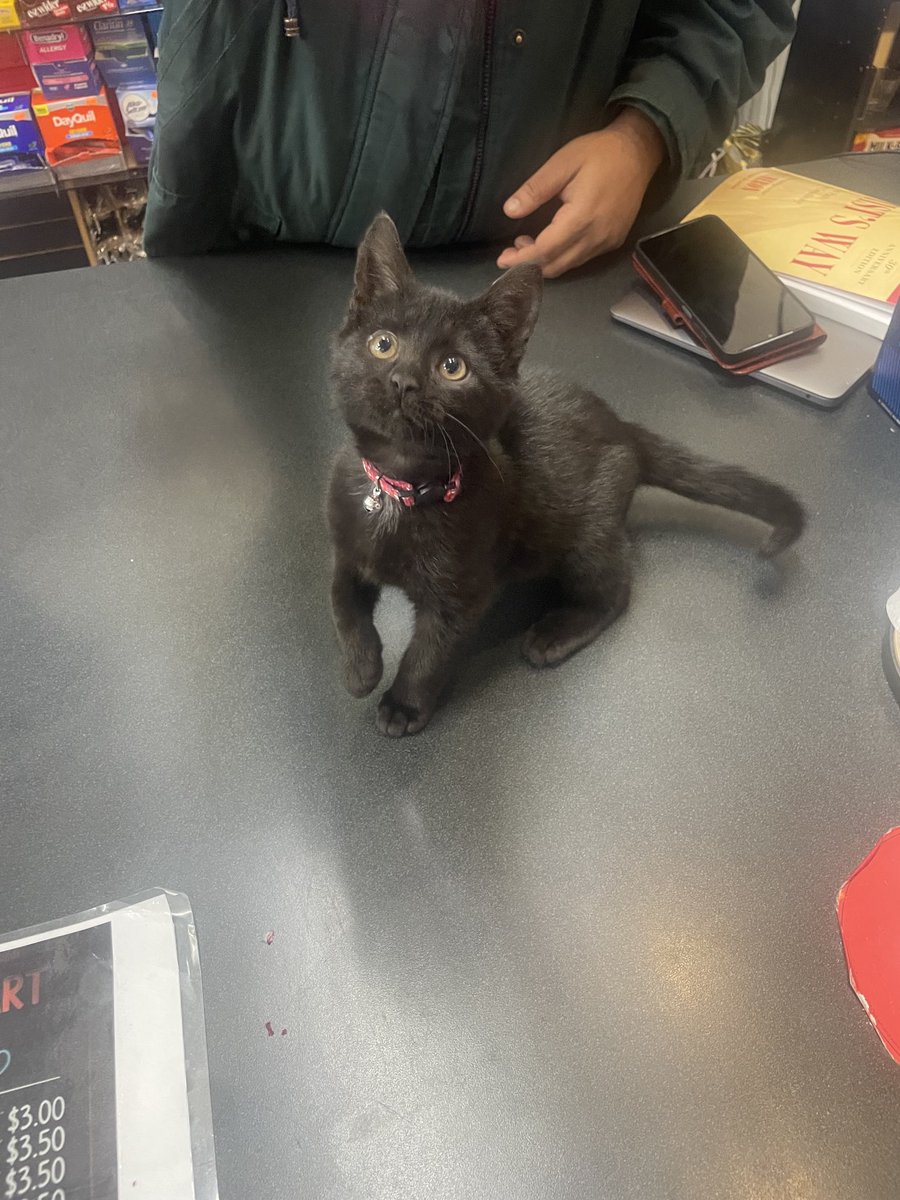 Big neighborhood news: my local bodega is now a family.