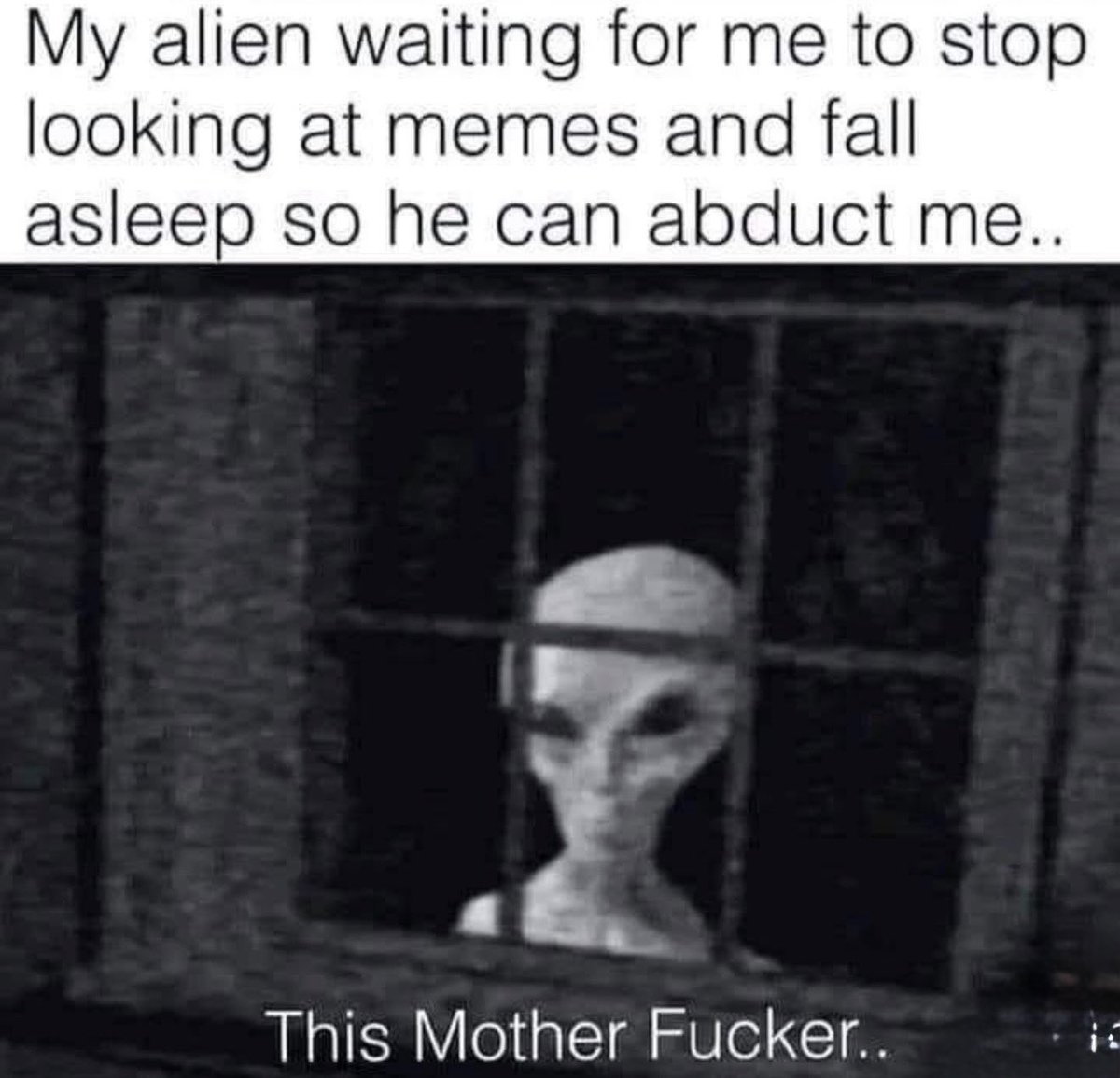 Harry Sachs (@alcochino210) on Twitter photo 