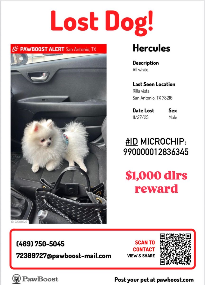 itzelbvega's tweet photo. #sanantoniotx #satx #lostdog #pawboostalert  favor de compartir🙏🏻 https://t.co/I2P7Qg7TdX