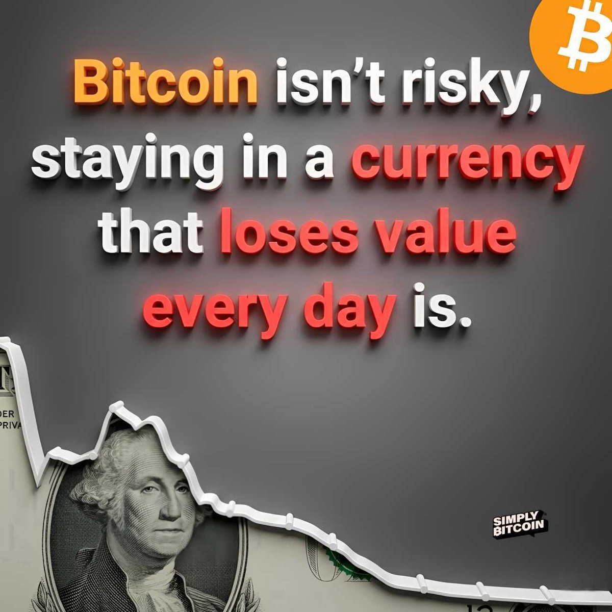 Bitcoin isn't risky, fiat is. ⚡️