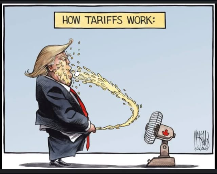 B_BeeBlue's tweet image. 