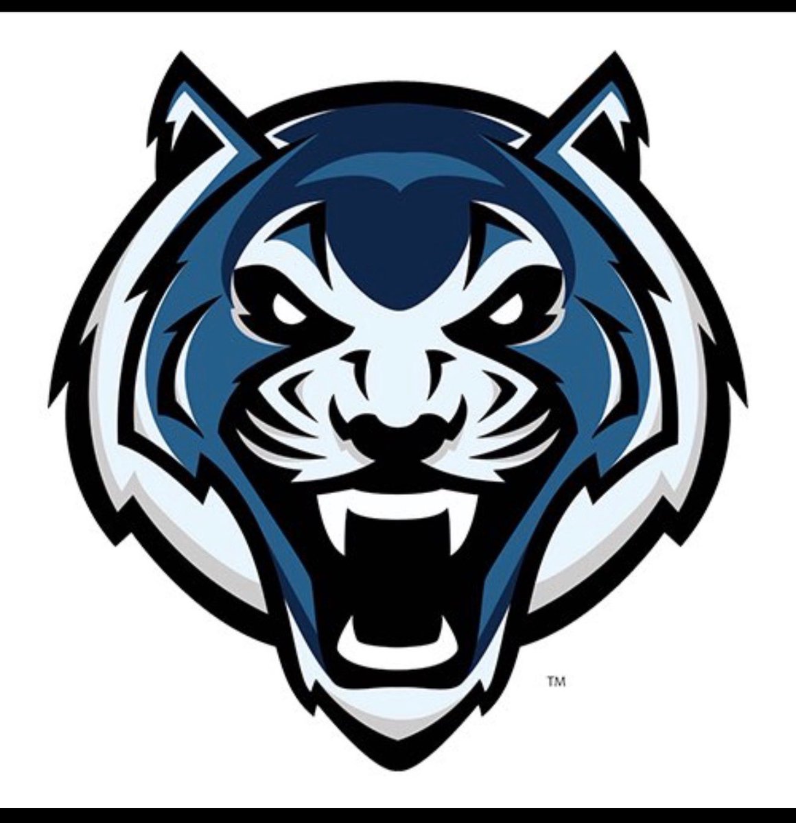 CaleBbarber44's tweet photo. After a great conversation with @CoachKVaught I am blessed to receive my 25th Offer (PWO) from Lincoln University #AGTG https://t.co/RSyFcsgOqY