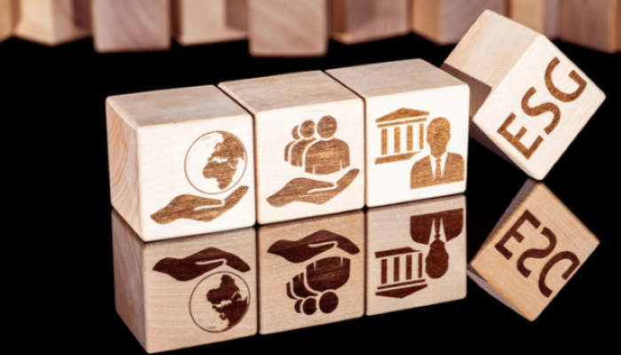 ESG Investing💸 = Investing in Environment🌱+ Social👥+ Governance🏛️. 

ESG Investing looks beyond profit to impact - from CO2 reduction to fair labour practices, corporate transparency, long-term resilience. So, why not invest responsibly!

Read more @ 🔗tinyurl.com/4mrs6kzw