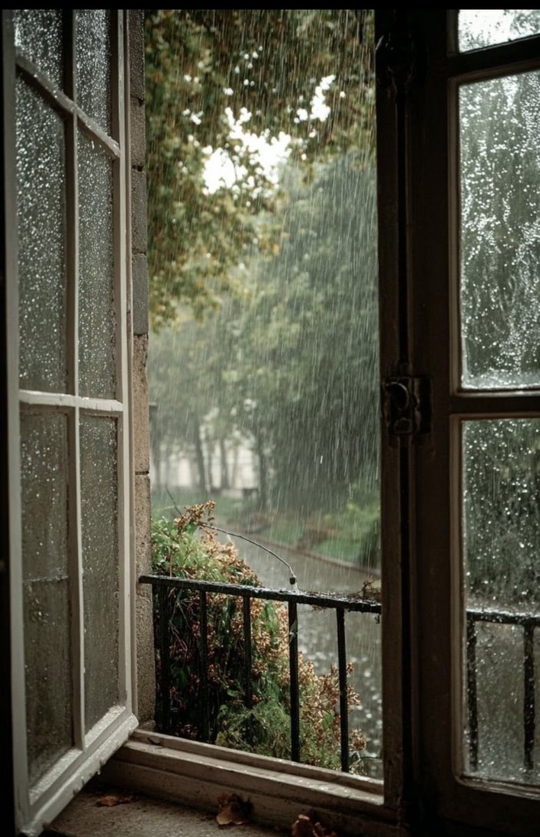 BaSHar Alsreheen 🇯🇴❤️🇺🇸 tweet media