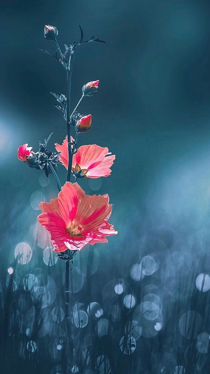 shadows (@shadows96461991) on Twitter photo 