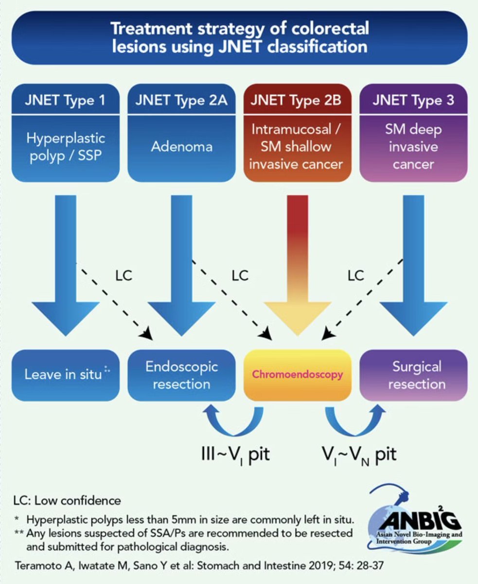 Understanding Colorectal Lesions: A Visual Guide

This flowchart breaks down the treatment strategy for colorectal lesions based on the JNET classification.

Key Takeaways:

Hyperplastic polyps under 5mm are typically left alone.

Suspected high-risk lesions always warrant