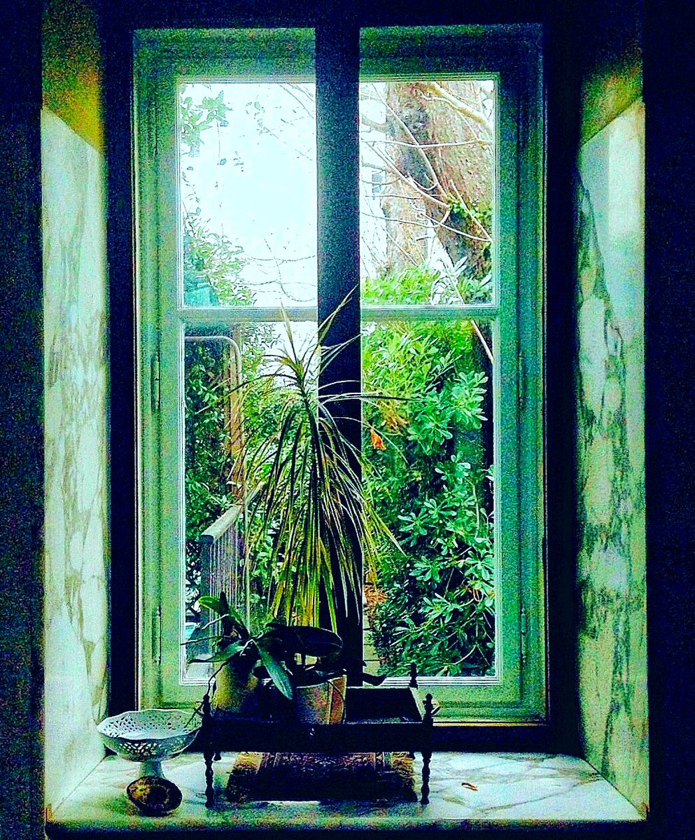 HarriganCath's tweet image. Four windows at a villa in Trieste.

#AlphabetChallenge  
#WeekWforWindows  #ThePhotoHour