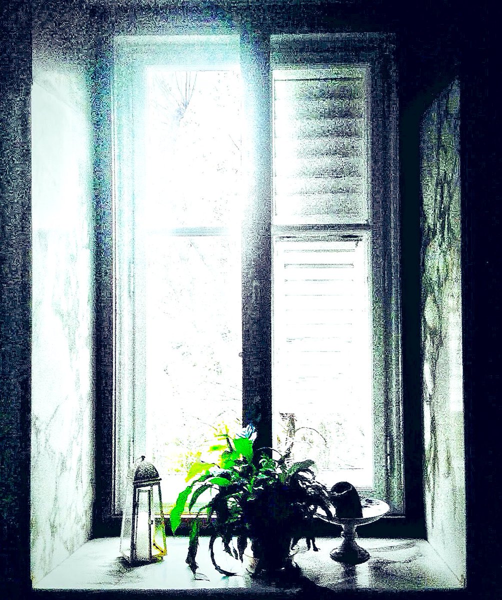 HarriganCath's tweet image. Four windows at a villa in Trieste.

#AlphabetChallenge  
#WeekWforWindows  #ThePhotoHour