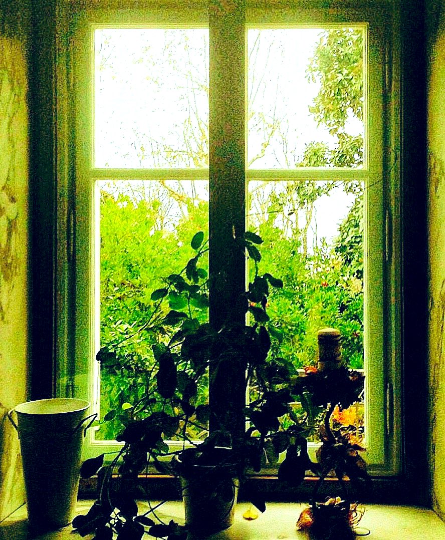 HarriganCath's tweet image. Four windows at a villa in Trieste.

#AlphabetChallenge  
#WeekWforWindows  #ThePhotoHour