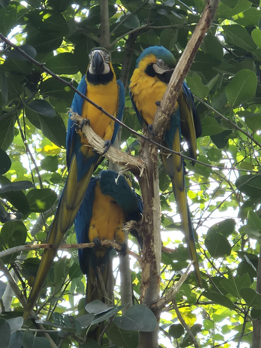 Good Morning 🙏 
<a href="/souindia/">Statue Of Unity</a>