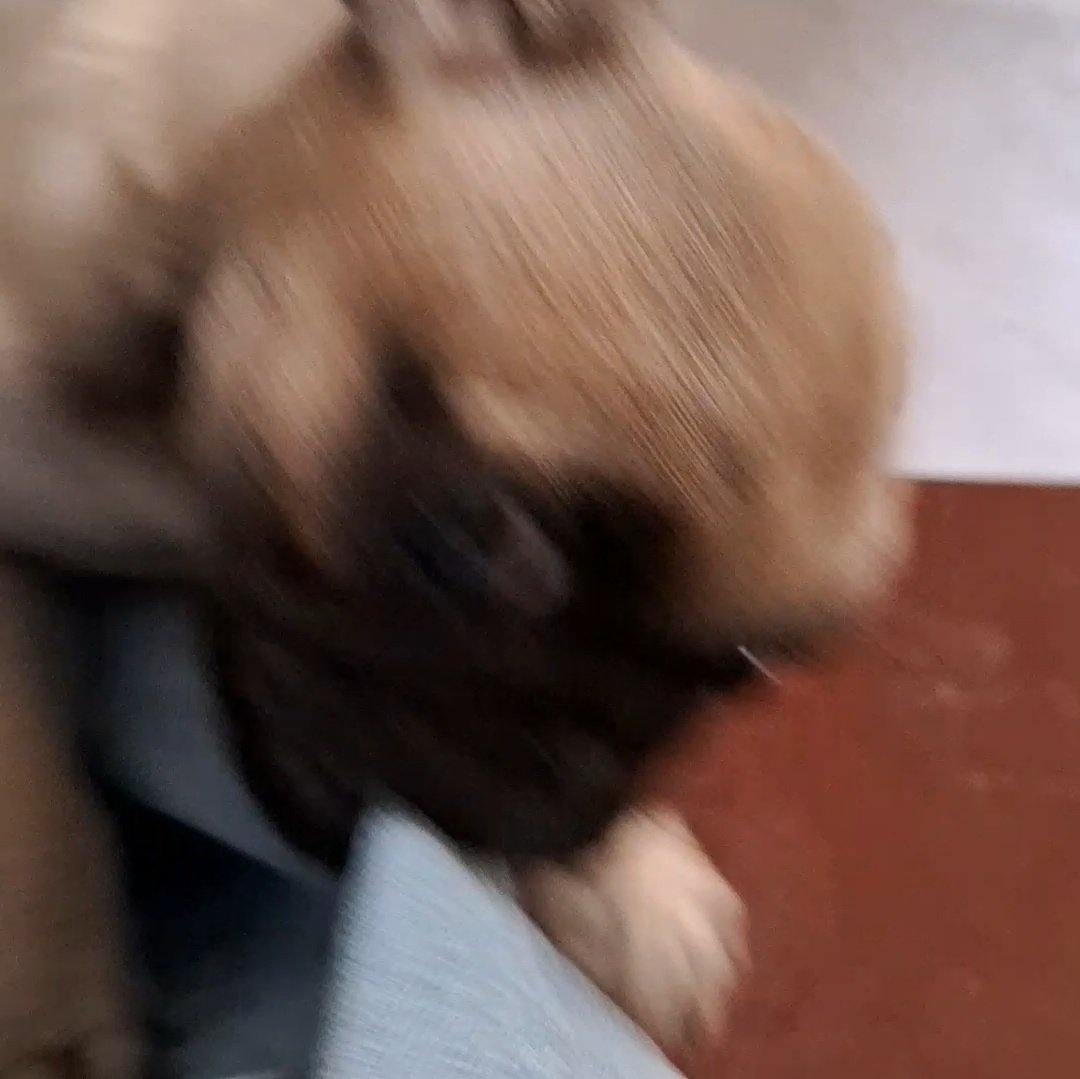 la diferencia entre hally y el culoinquieto reims que el primer día me hizo un hueco en el pantalón