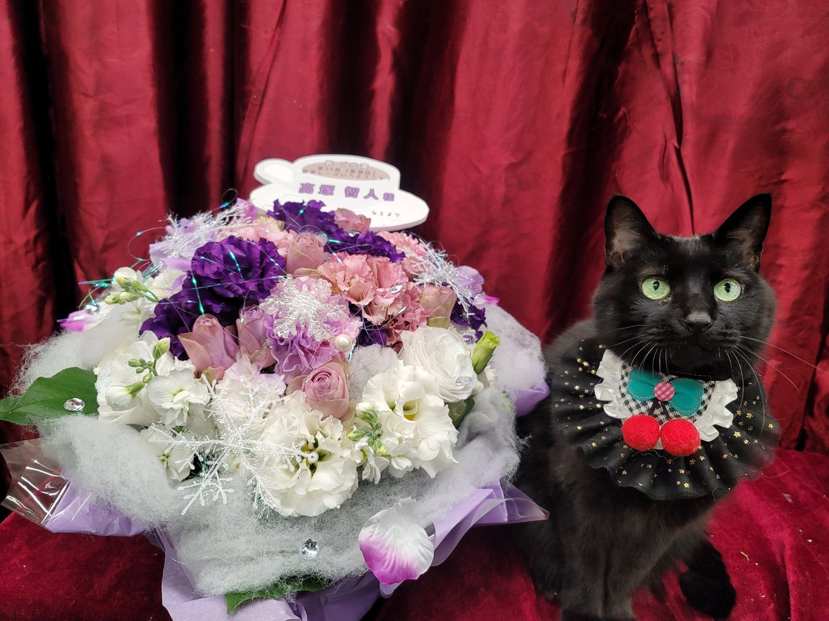 喫茶しーぷいへ配送したアレンジメントですにゃ🐱高塚智人様宛