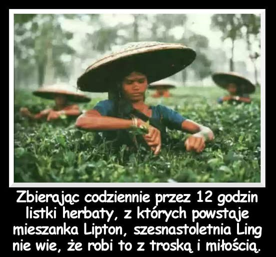 Piotr Zarzeczański (jego otyłość/jego otyłości) (@redaktorbs) on Twitter photo 