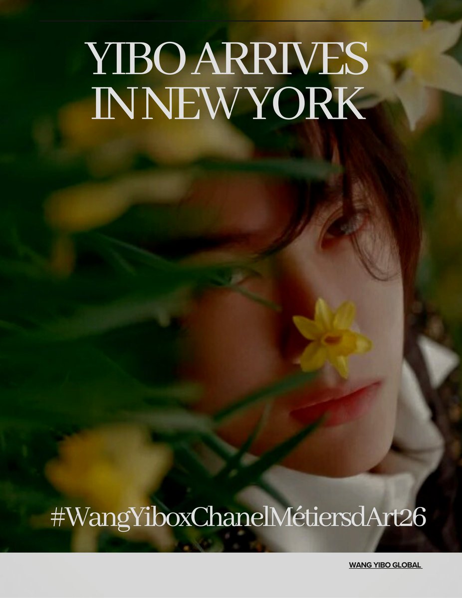 せきせいくうさん　専用　王一博 王一博💚 平安喜乐 ✨📍AK(MTJJ) (@shihTzu_YB) / Posts / X