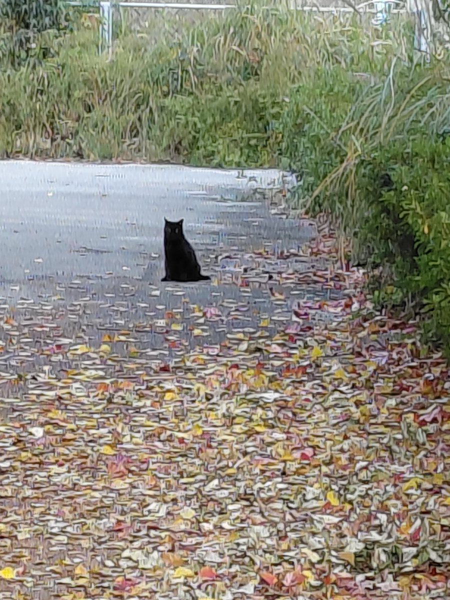 似顔絵まゆままページ 絵まゆ (@wuaY7mMNQz97468) on X